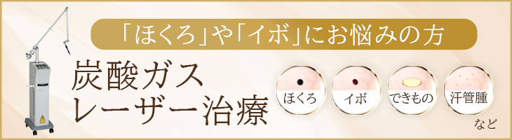 Q-SW　ルビーレーザーのご紹介